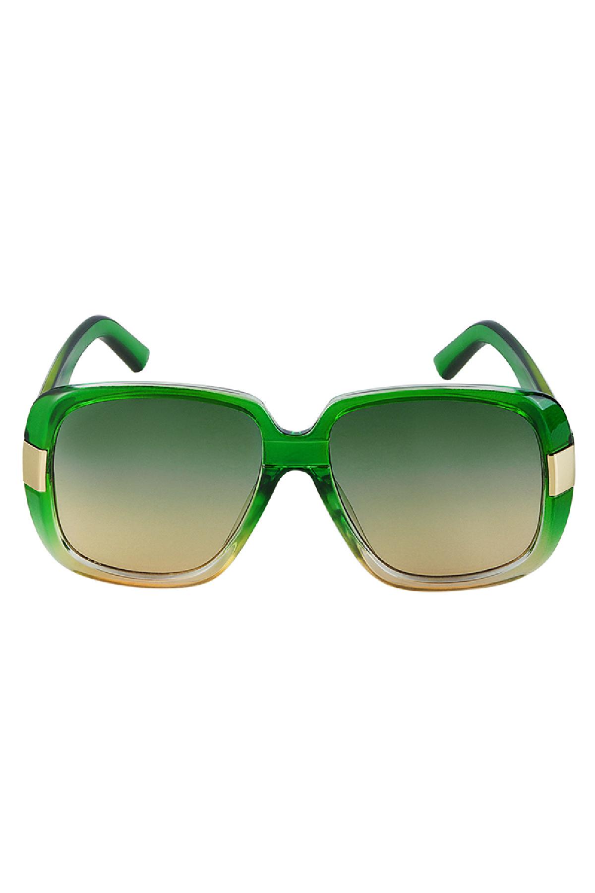 Lunettes de soleil basiques avec détails dorés Vert PC Taille unique Image5