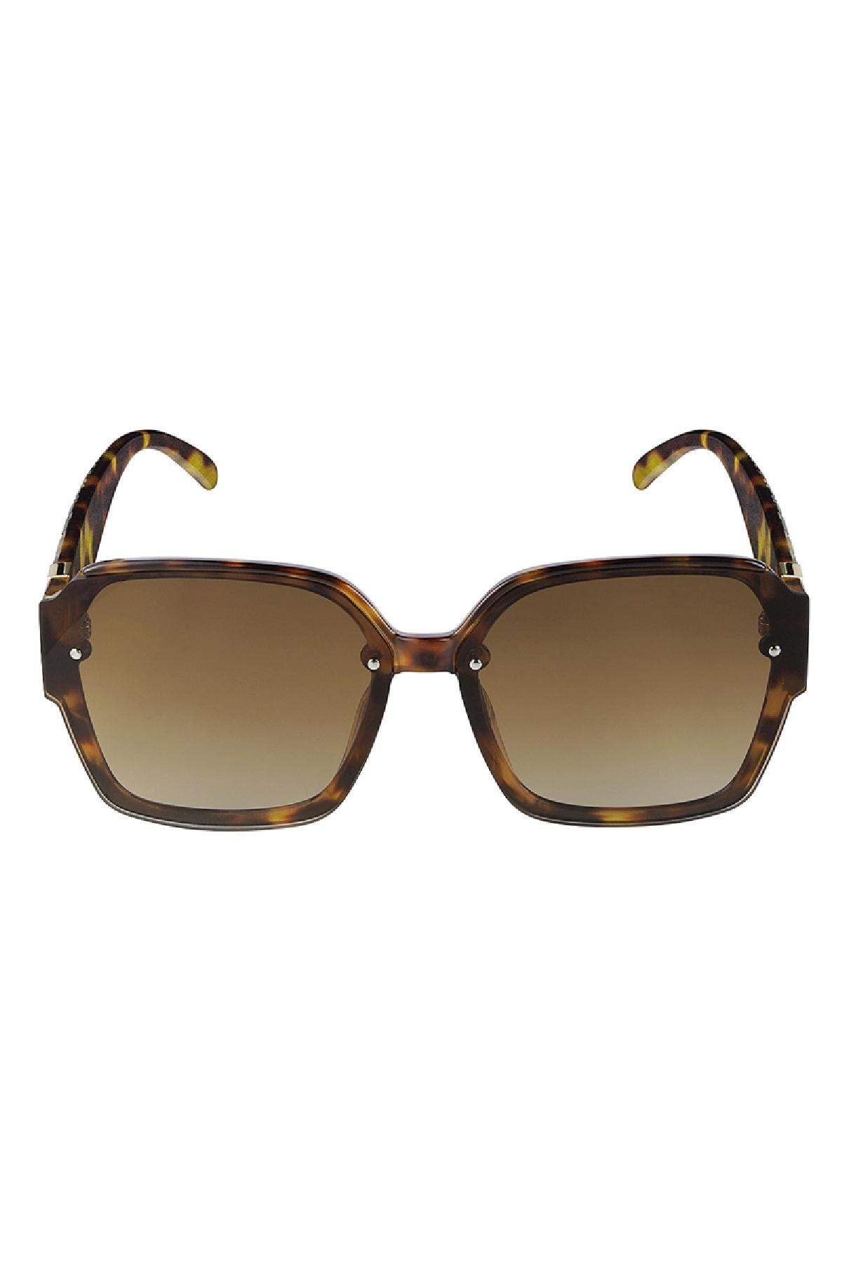 Gafas de sol estructuradas Marrón PC One size h5 Imagen5