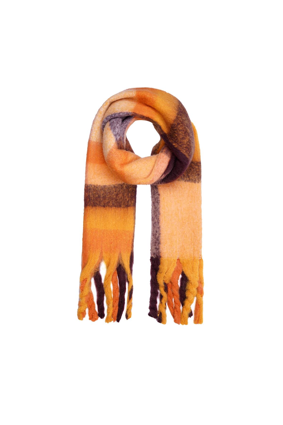 Groothandel Sjaal met franjes Oranje Polyester Damesaccessoire Set van 1