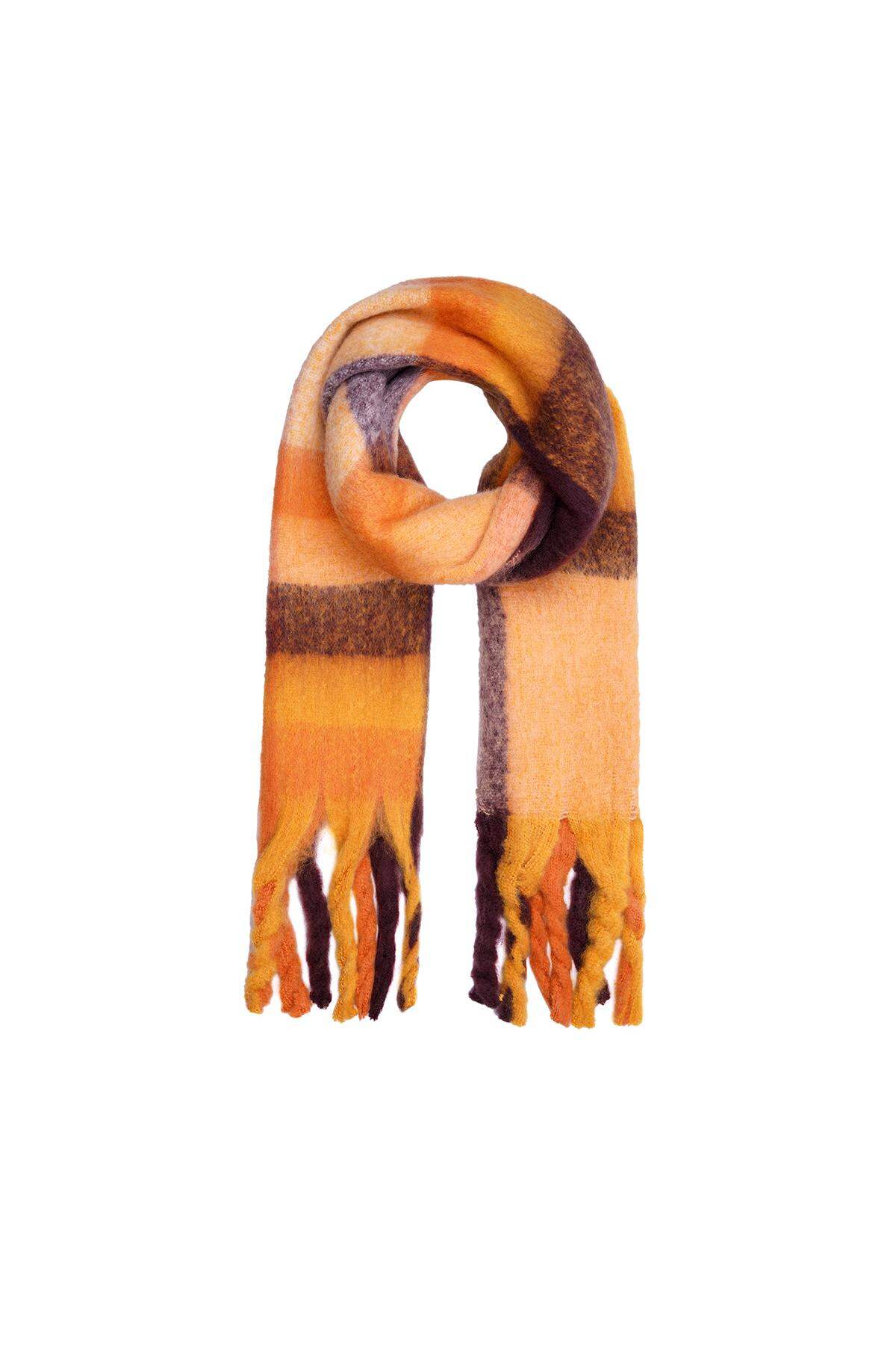 Fringe scarf Orange Polyester 2
