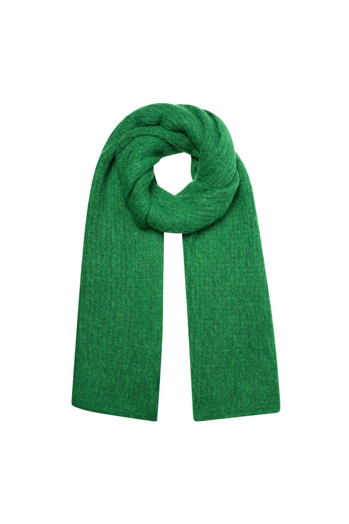 Vert Image6