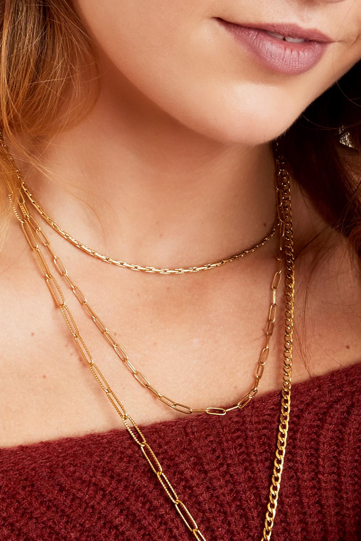 Groothandel Roestvrijstalen Ketting voor Vrouwen Middellange 40-70 cm Meerlagig Casual Dagelijks Draagbaar Simpele Serie, foto 3 van 4