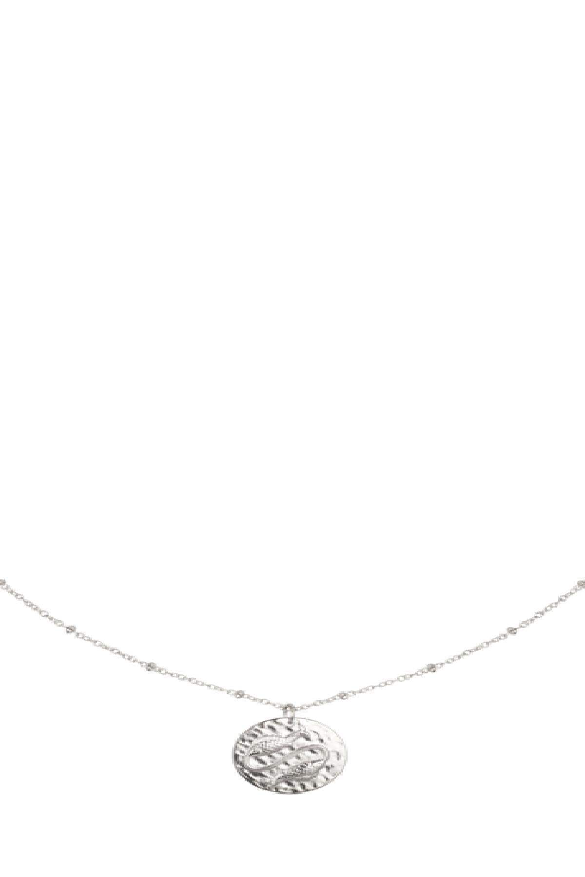 Kette Constellation - Fische Silber Edelstahl Bild2