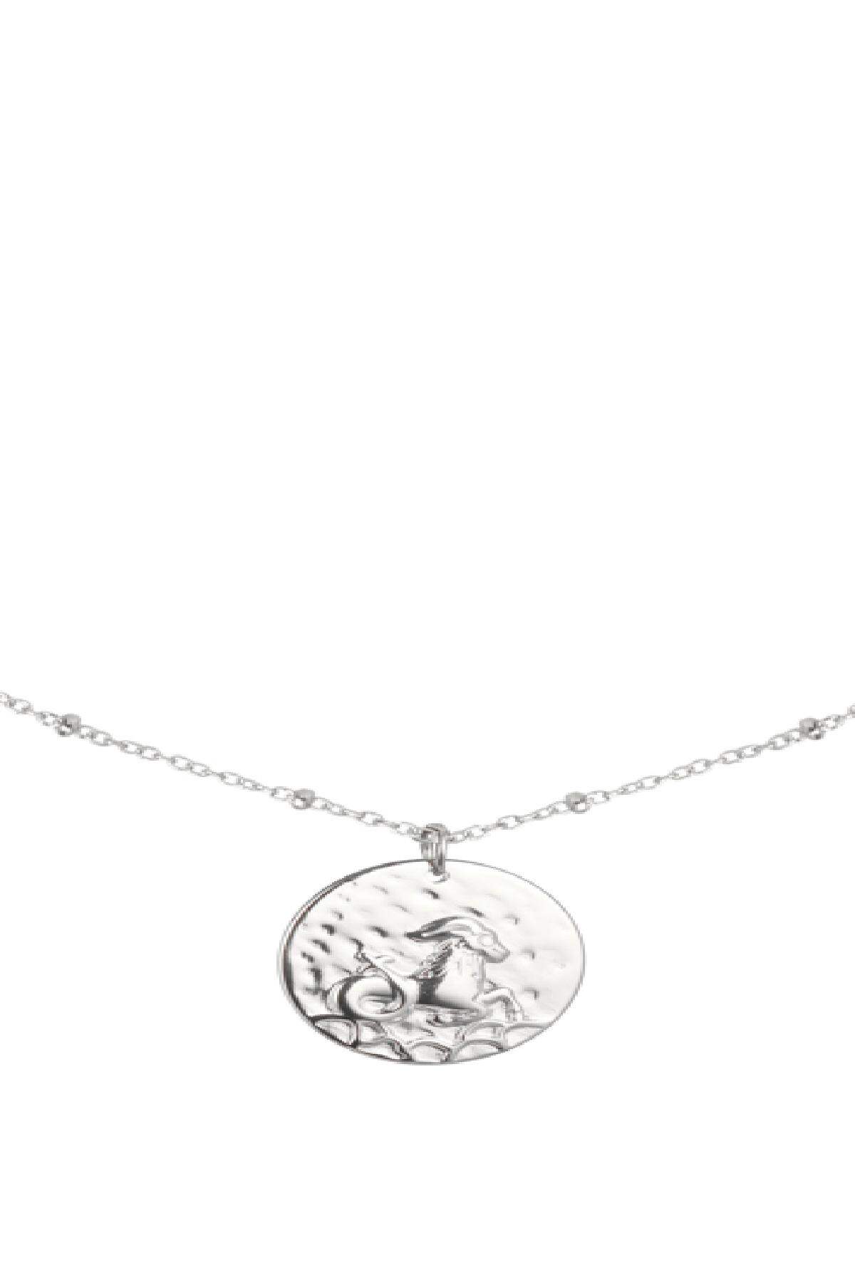 Kette Constellation - Steinbock Silber Edelstahl h5 Bild2