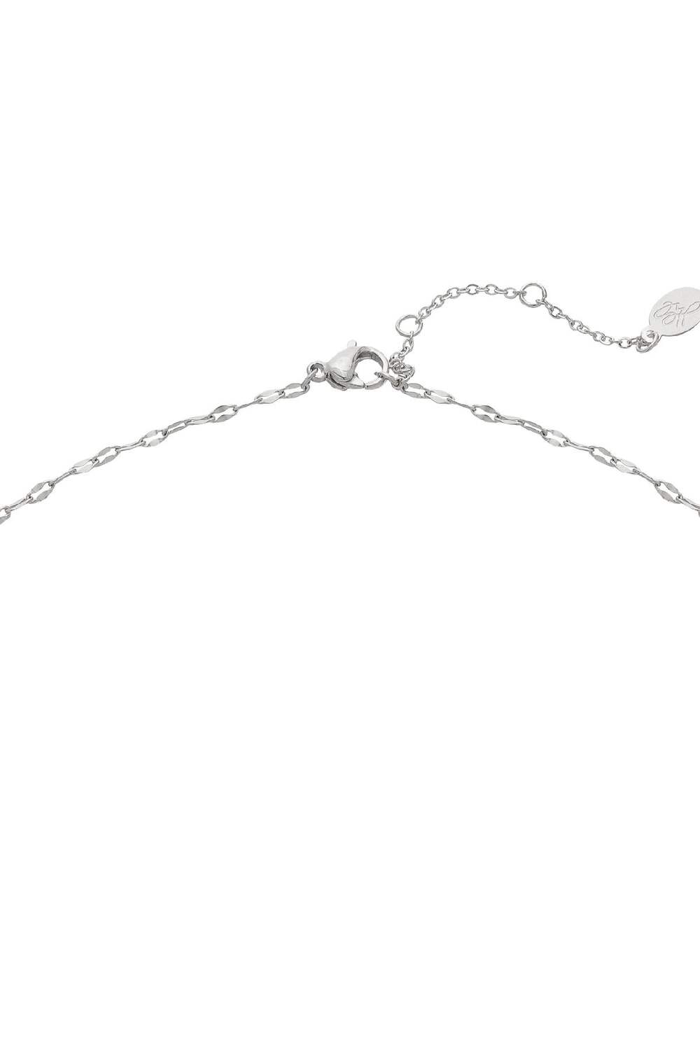 Ketting The Wolf Zilver Stainless Steel h5Afbeelding4