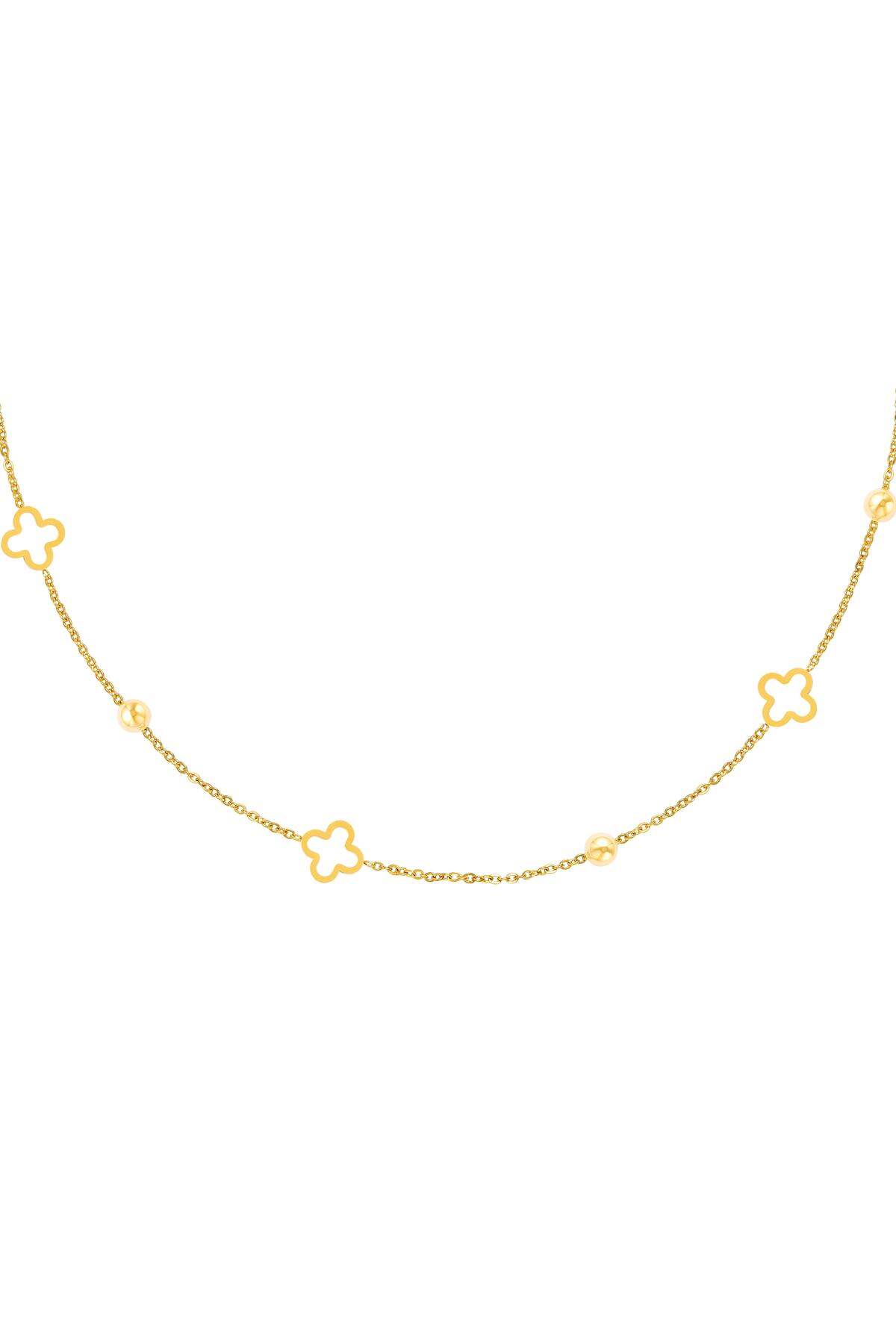 Gold Color 