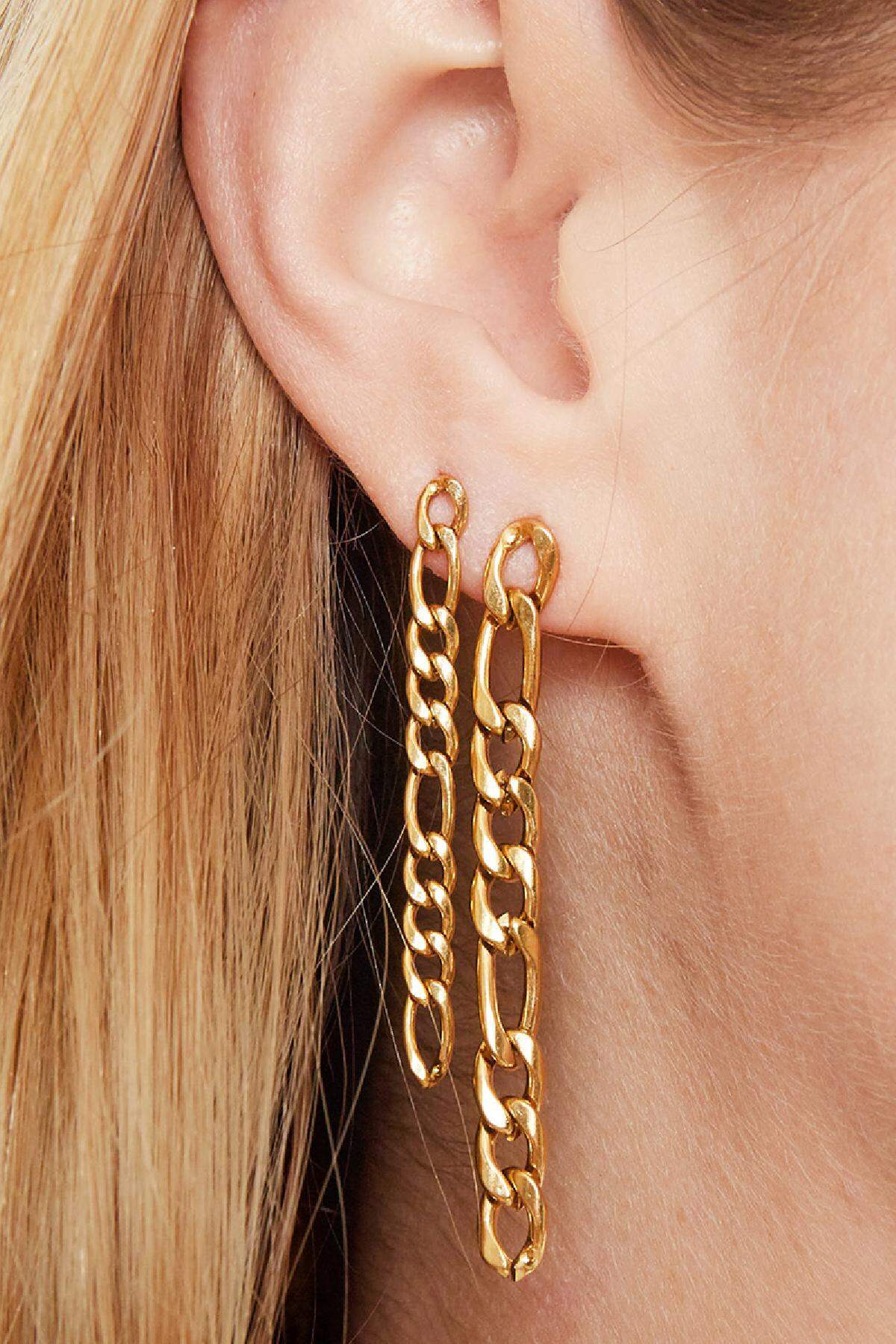 Boucles D'oreilles Vertical Variation Argenté Acier Inoxydable h5 Image3