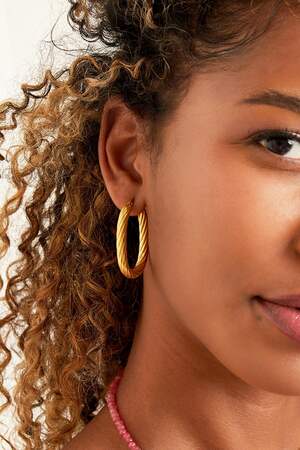 twisted oval stainless steel earring h5 Picture2