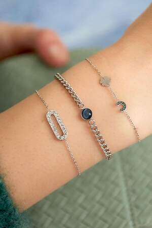 Roestvrij stalen armband Goud kleur Stainless Steel h5 Afbeelding2