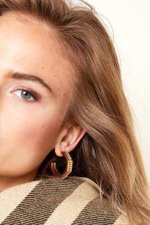 Orecchini con dettagli in zircone Gold Stainless Steel h5 Immagine3