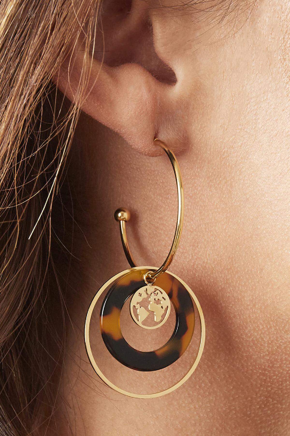 Earrings Explorer Gold Color Stainless Steel h5Picture2